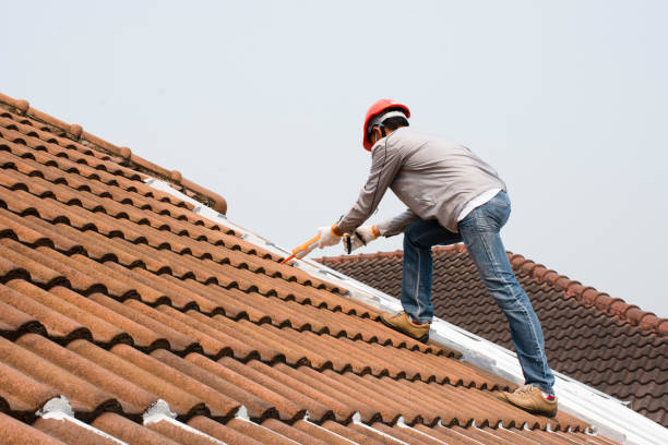 Best Green or Eco-Friendly Roofing Solutions  in Piedmont, SC